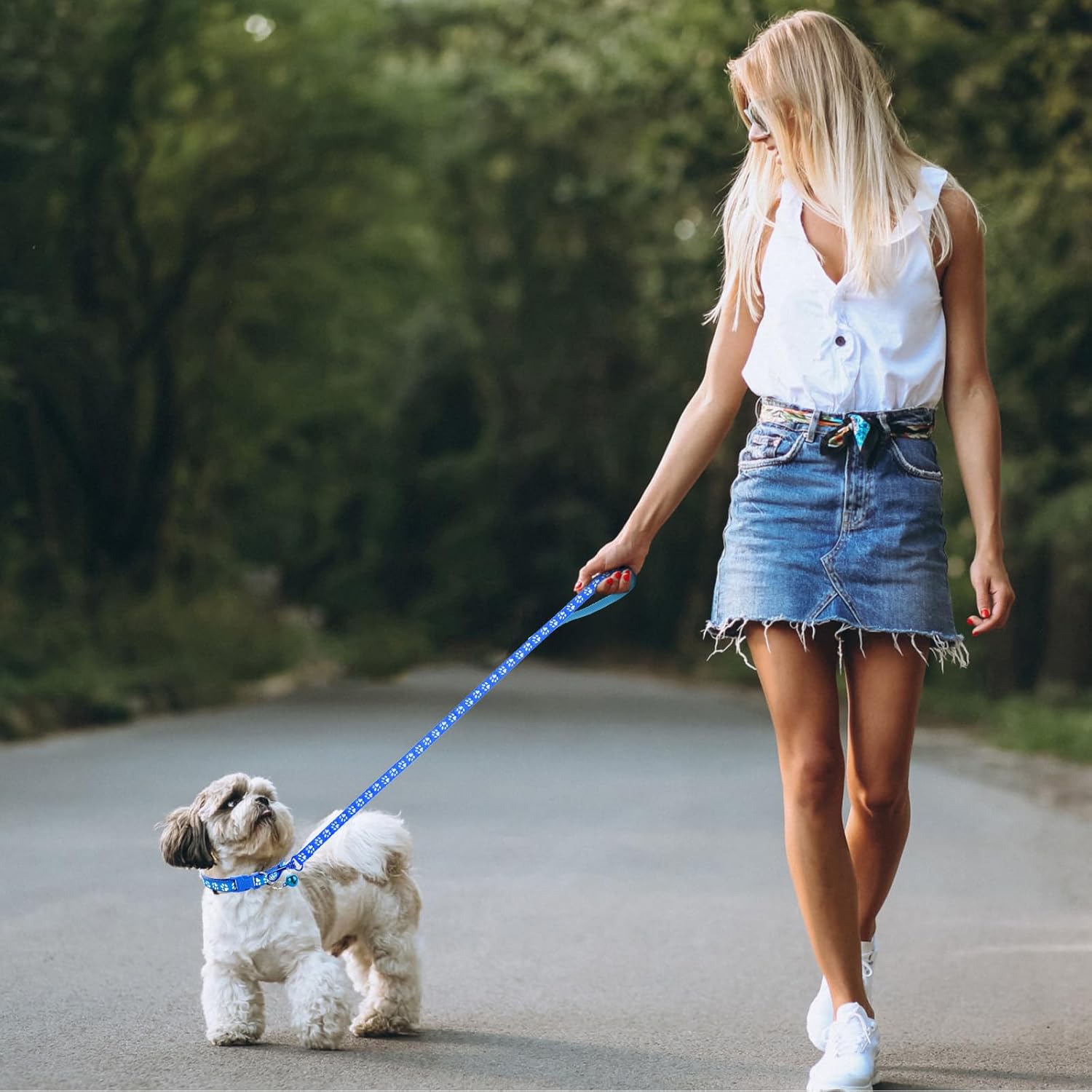 Unleash Your Pet's Style with These Adorable Collar and Leash Sets!