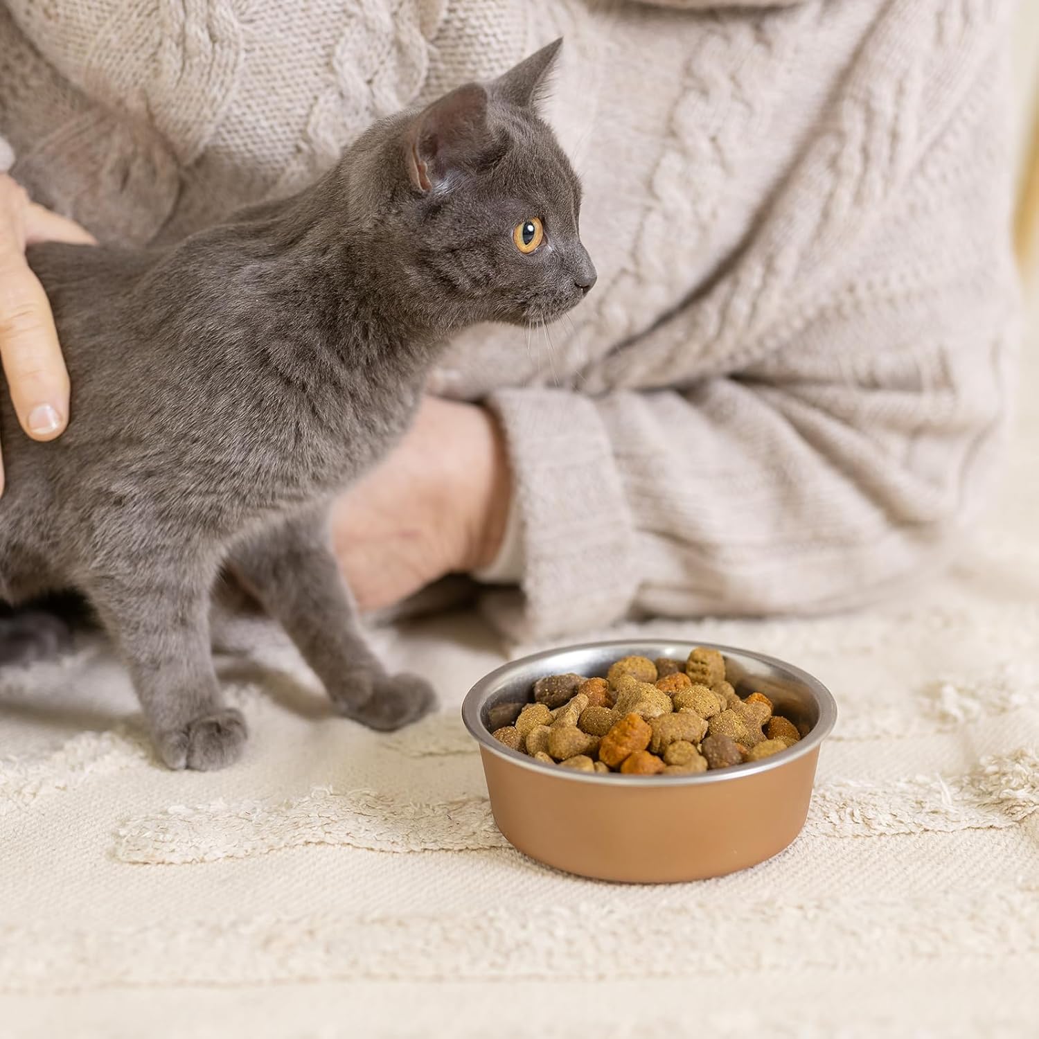 2 Pack 5.5" Metal Small Bowls Stainless Steel Pet Bowls Set, Replacement Cat Food Bowl for Food and Water for Cats, Small Dogs, Kitten, Puppy, Dishwasher Safe